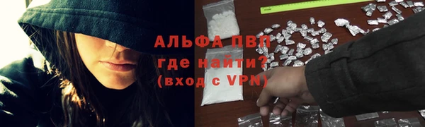 стаф Алексеевка