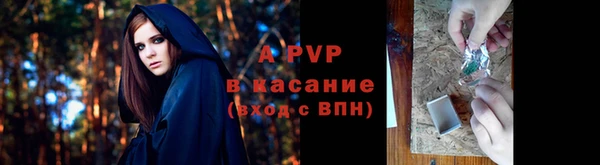 ГАЛЛЮЦИНОГЕННЫЕ ГРИБЫ Абаза
