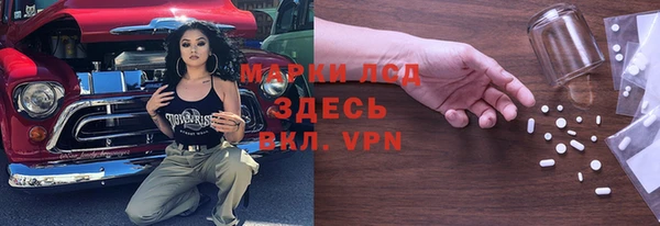 ГАЛЛЮЦИНОГЕННЫЕ ГРИБЫ Абаза