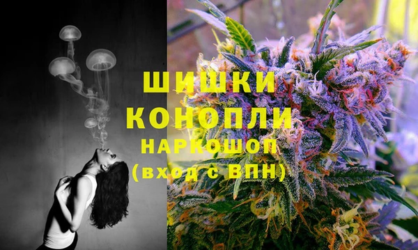 мяу мяу мука Майский
