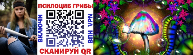 сколько стоит  Узловая  shop какой сайт  Псилоцибиновые грибы Magic Shrooms 