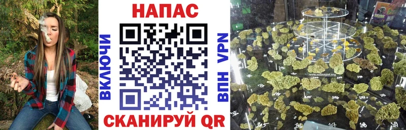 МАРИХУАНА гибрид  Узловая 